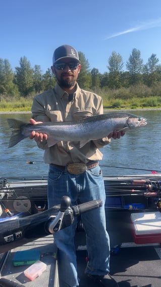 Olympic Penninsula Steelhead