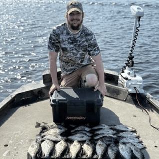 Crappie Fishing Trips