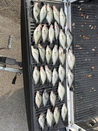 Crappie Fishing Trips
