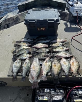Crappie Fishing Trips