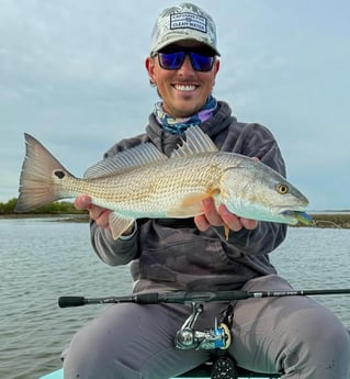 Full-Day Trip Inshore