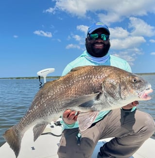Full-Day Trip Inshore