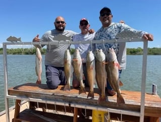 Half Day fishing trip in the Bay