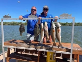 Half Day fishing trip in the Bay