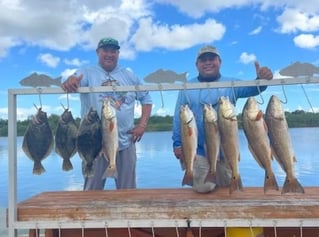 Half Day fishing trip in the Bay