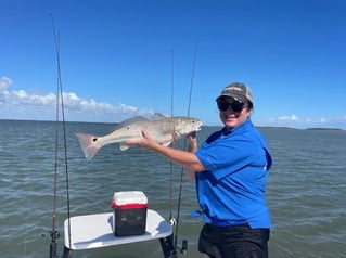 Half Day fishing trip in the Bay