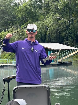 Arkansas Trout Guide