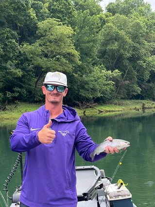 Arkansas Trout Guide