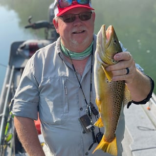 Arkansas Trout Guide