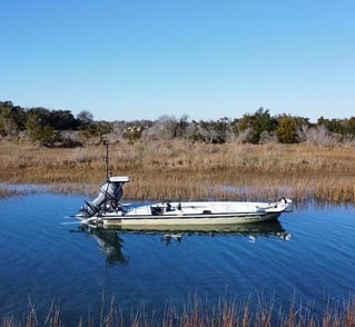 Inshore Fishing Trip