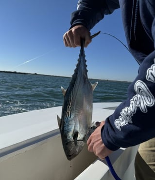 4 Hour Nearshore Trip