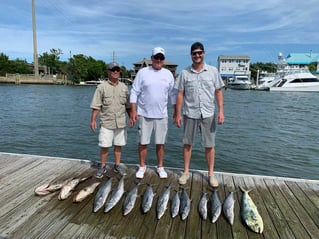 4 Hour Nearshore Trip