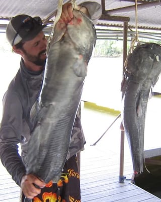 Noodling Handfishing