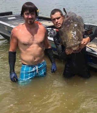 Catfish Noodling Trips