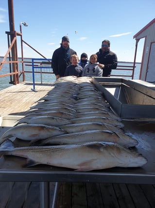 Ultimate Guided Striper Adventure