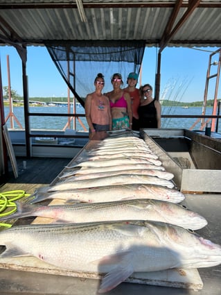 Ultimate Guided Striper Adventure