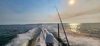 Inshore Fishing Trip