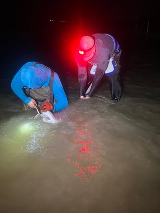 Cape May Land Based Shark Fishing