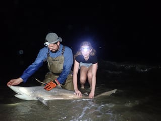 Cape May Land Based Shark Fishing