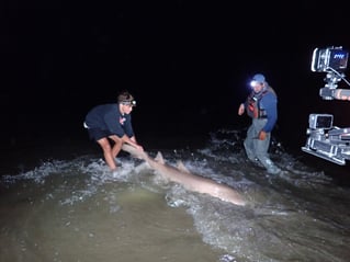 Cape May Land Based Shark Fishing