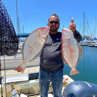 4 Hour Trip Bay Fishing 