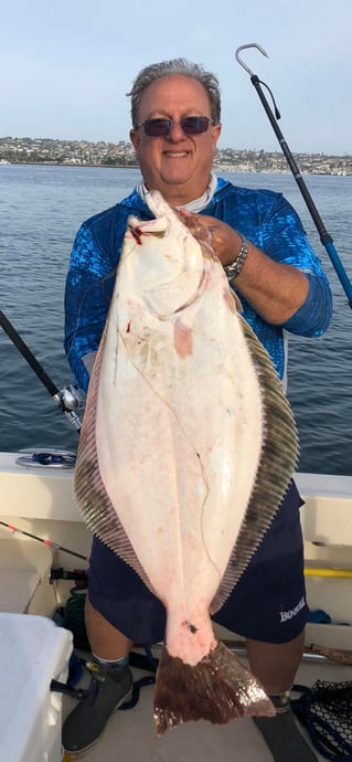 4 Hour Trip Bay Fishing 