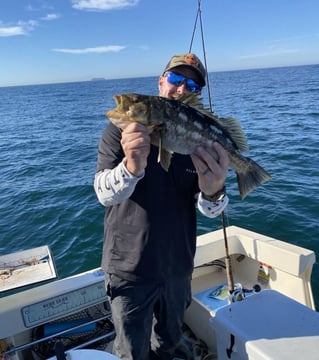 4 Hour Bay Fishing Trip