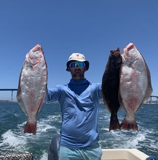 4 Hour Bay Fishing Trip