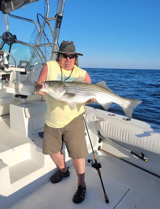 Half or Full Day Trip