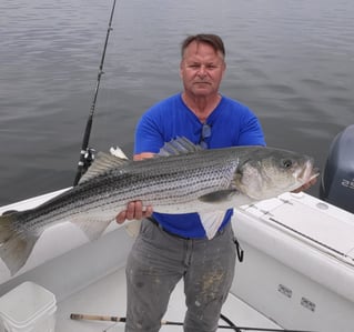 Half or Full Day Trip