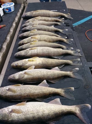 4-6 Hour Trip - Muskegon Lake
