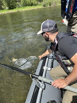 Full-Day Fly Fishing - Yakima River