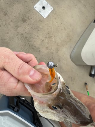 Lake O the Pines Crappie Adventure!