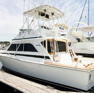 Virginia Inshore Trips