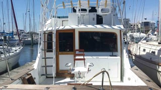 Virginia Inshore Trips