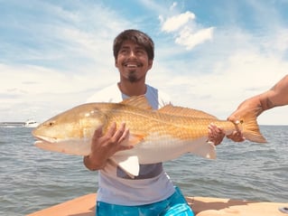 Virginia Inshore Trips