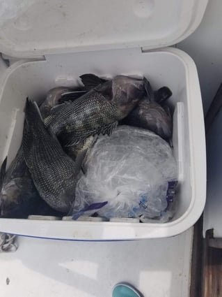 Virginia Inshore Trips