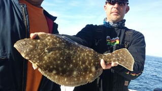 Virginia Inshore Trips