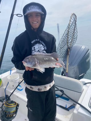 4-8 HR Inshore/Nearshore Trip