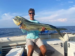 Bluefin Tuna Drifting