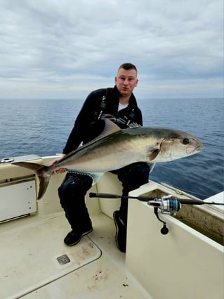 Bluefin Tuna Drifting