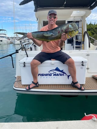 Bluefin Tuna Drifting