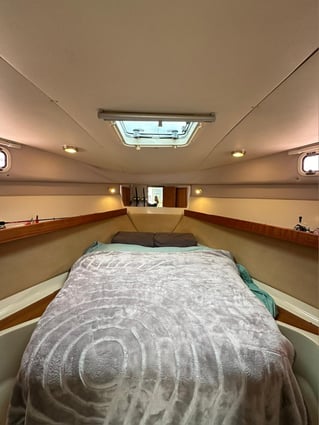 Bluefin Tuna Drifting