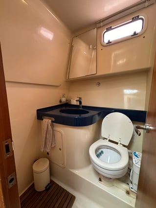 Bluefin Tuna Drifting