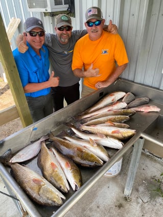 Speckled Trout and Redfish