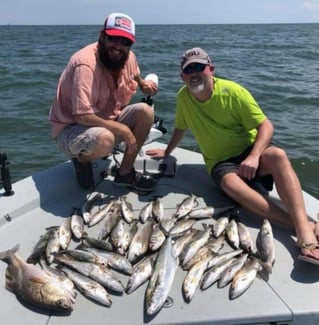 Speckled Trout and Redfish
