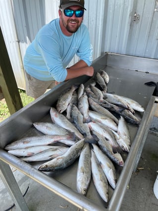 Speckled Trout and Redfish