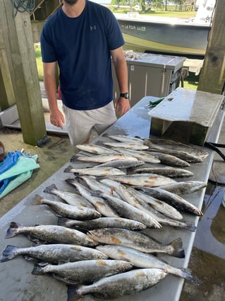 Speckled Trout and Redfish