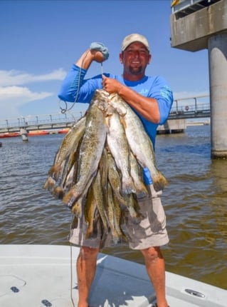 Speckled Trout and Redfish