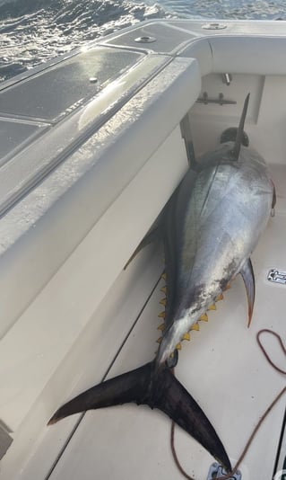 Long Island Full Day Offshore